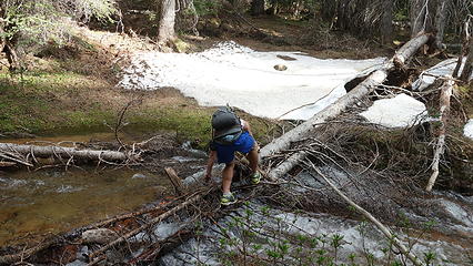 Josh crossing a log across Swamp Creek so we could get to the easier south side