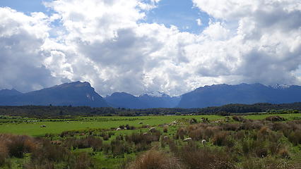 Views from the road to Milford Sound