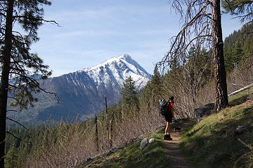 Lower Icicle Ridge trail