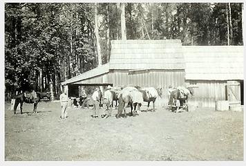 Smith Place - Queets Valley - ca. 1929 - view north of barn - photo courtesy L. Vaughan