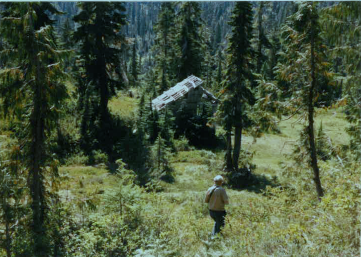 Approaching shelter 1985