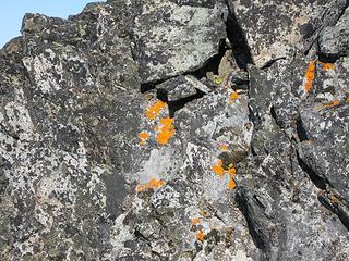 Blaze orange lichen on Mount Maude