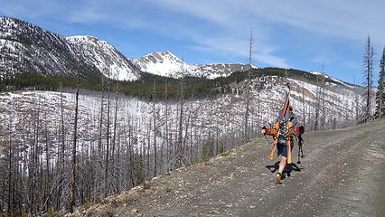 Walking up the road to Harts Pass