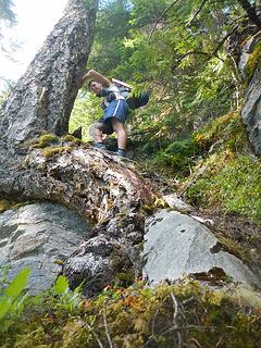 McAllister Ridge trail