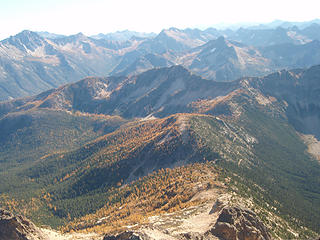 Larches as seen from the summit