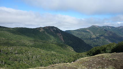 View from treeline